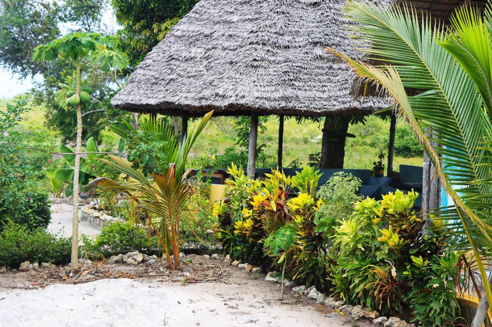 Rasta House Acomodação com café da manhã Kilindoni Exterior foto