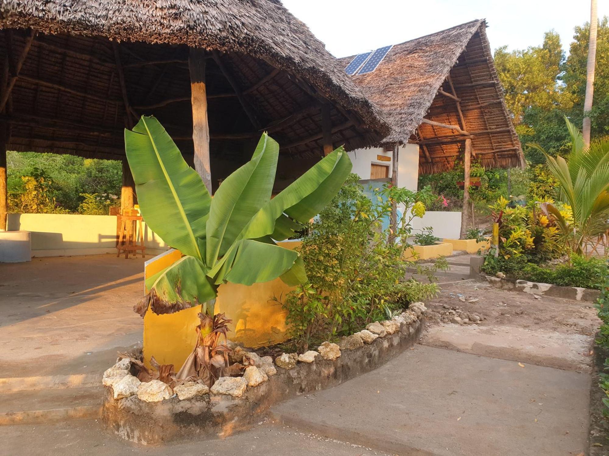 Rasta House Acomodação com café da manhã Kilindoni Exterior foto